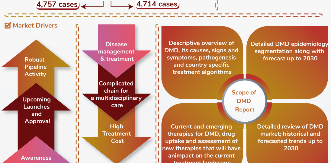 Duchenne Muscular Dystrophy (DMD) Market